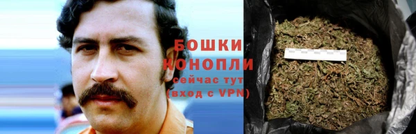 СК Зерноград