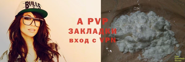 СК Зерноград